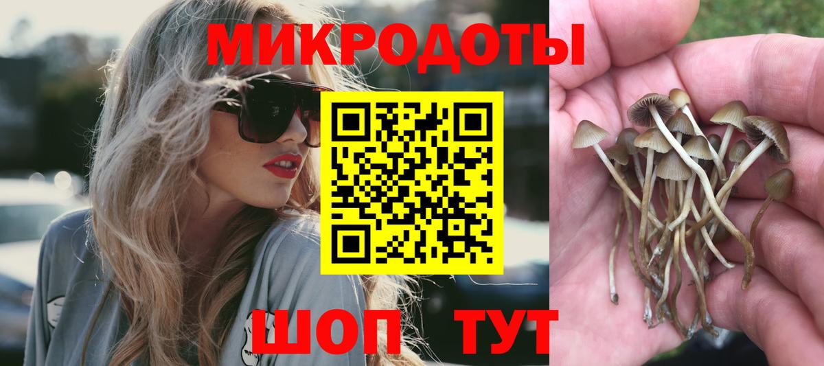 Свободный  Псилоцибиновые грибы MAGIC MUSHROOMS  Вход с VPN 